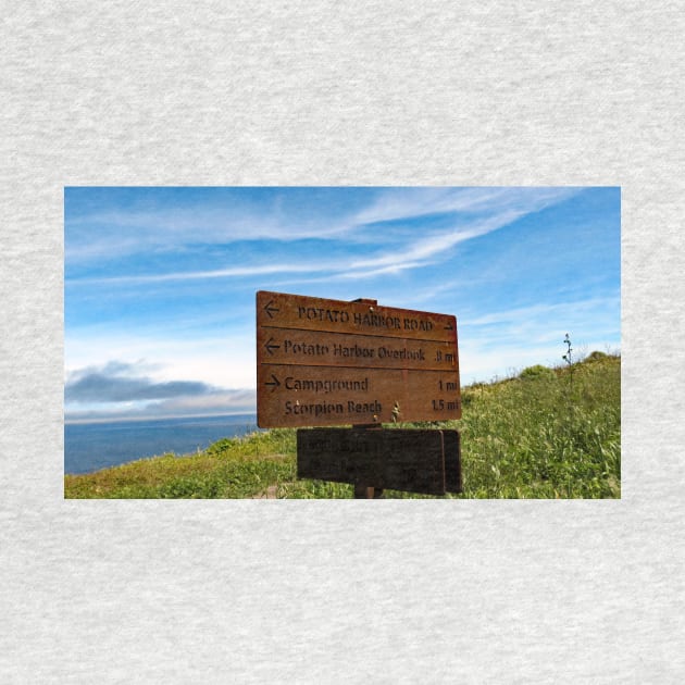 Channel Islands National Park Santa Cruz Island by supernova23